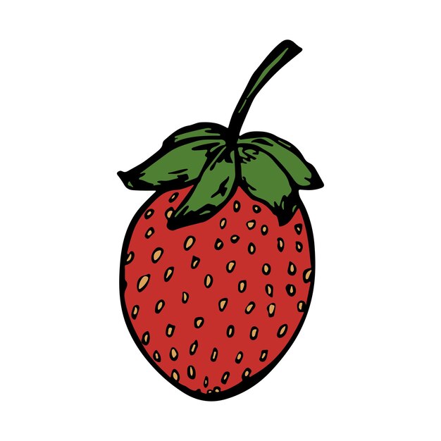 Clipart della fragola vettoriale icona della bacca disegnata a mano illustrazione della frutta per la decorazione del design web di stampa