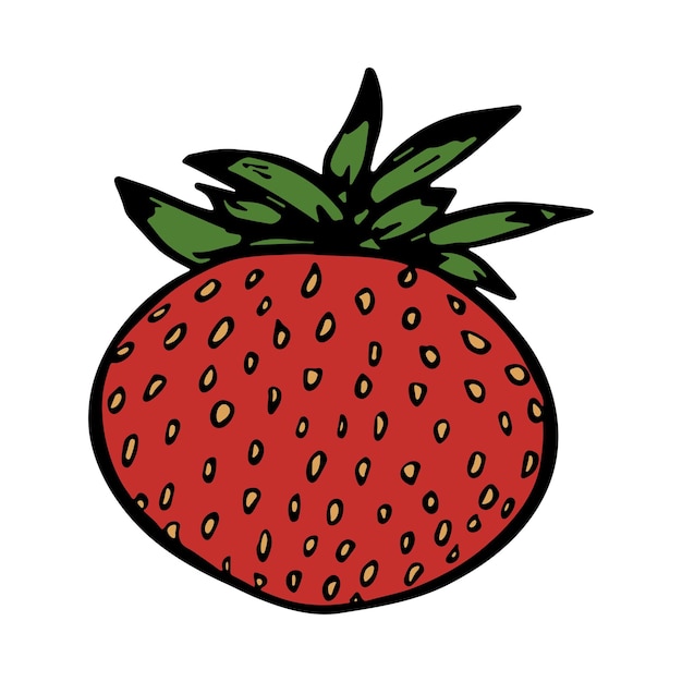 Clipart della fragola vettoriale icona della bacca disegnata a mano illustrazione della frutta per la decorazione del design web di stampa