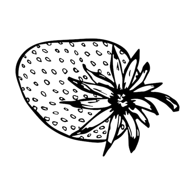 Векторный клубничный клипарт Ручной обращается значок ягоды Фруктовая иллюстрация Для печати веб-дизайн декора