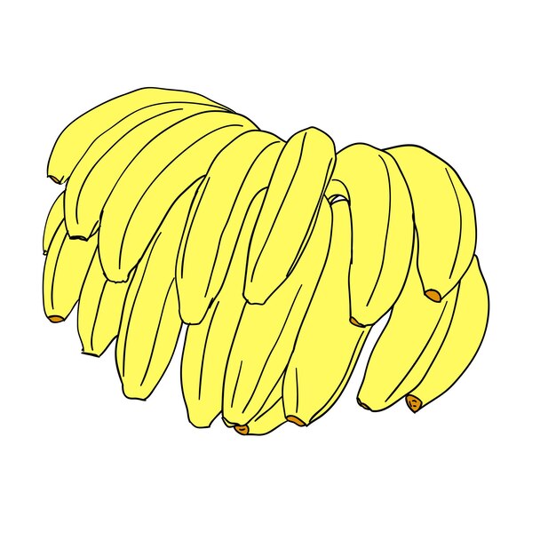 A vector stylized bananas