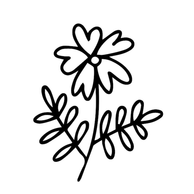 Vector summer flower illustration Cute daisy flower sketch