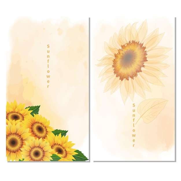 Vector sunflower card, background, wallpaper