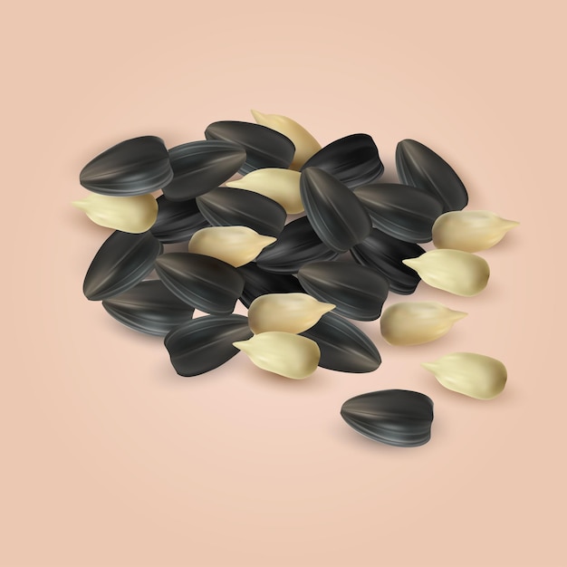 vector sunflower seed