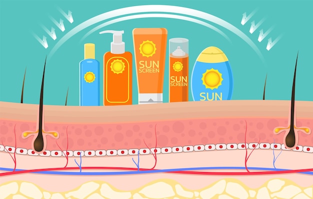 vector for sunscreen advertisingSummer protection cream