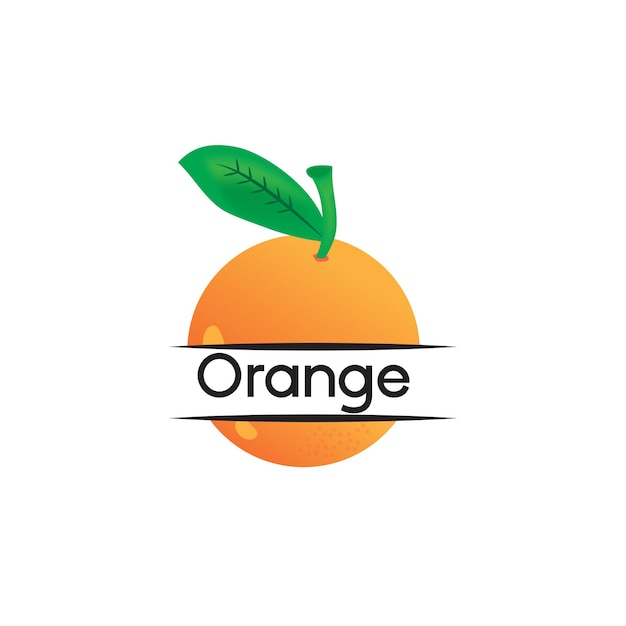 vector template creative design of orange fruit