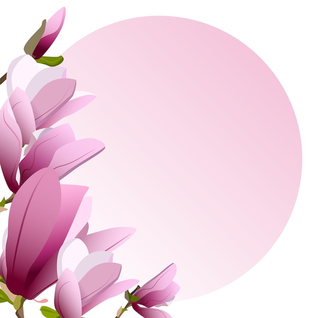 Vector template of greeting card with blooming purple magnolia flowers on white background