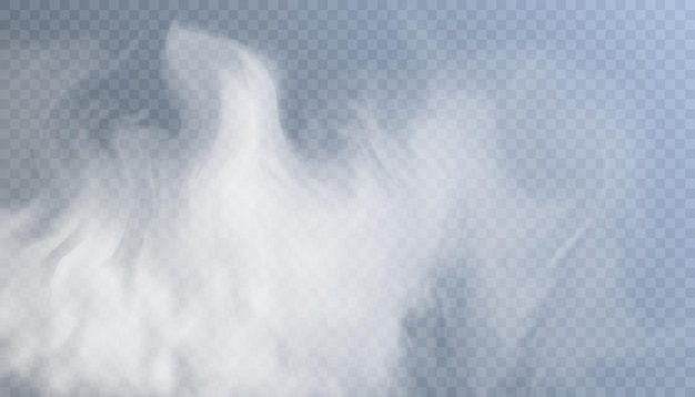 Vector texture smoke, steam, clouds translucent effect for design and illustrations.