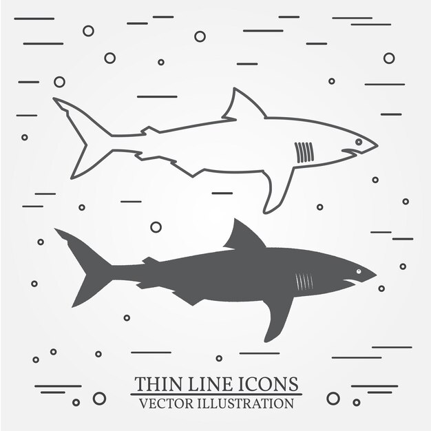 Vector thin line icon and silhouette shark For web design and application interface  Vector