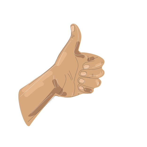 Vector thumbs up illustration drawing in sketch style isolated on white background