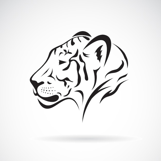 Vector of a tiger head on white background Wild Animals