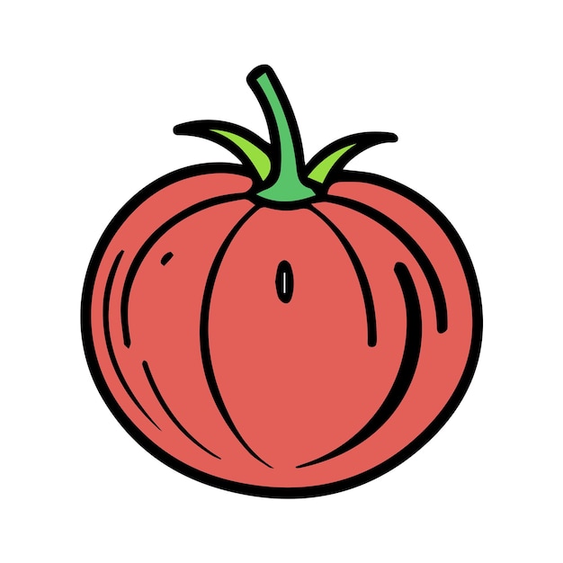 vector tomato line color illustration icon