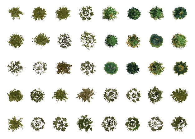 Vector vector top view of trees and bushes vector illustrations set landscape elements for garden park