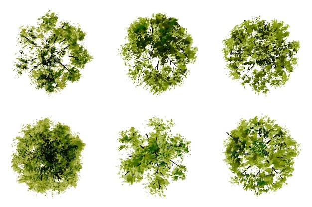 ベクター・トップ・ビュー・オブ・ツリー・アンド・ブッシュ (Vector Top View of Trees and Bushes) はベクター・イラストレーションでガーデン・パークの風景要素をセットしています