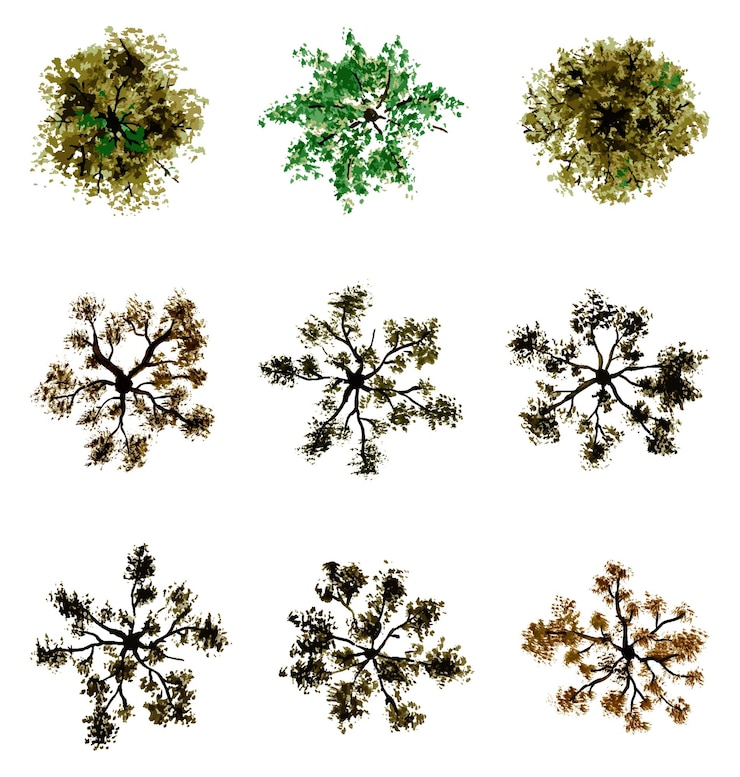 Vector vector top view of trees and bushes vector illustrations set landscape elements for garden park
