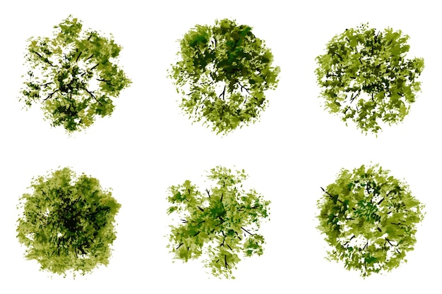 Vector top view van bomen en struiken vector illustraties set landschap elementen voor tuin park