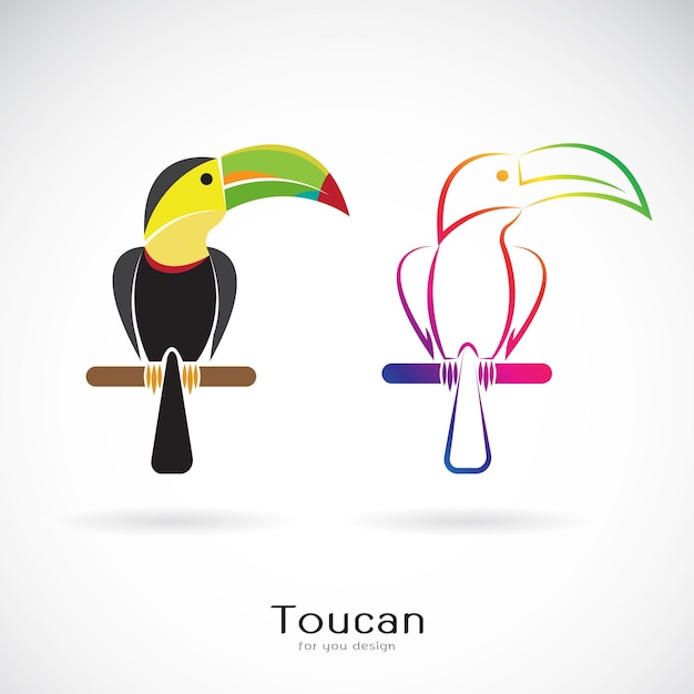 Vector of toucan bird design on white background wild animals easy editable layered vector illustration