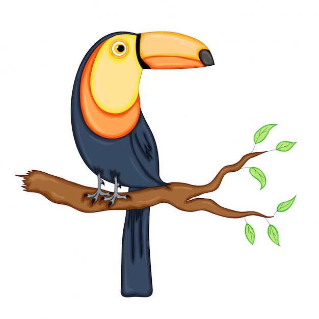 Vector toucan.