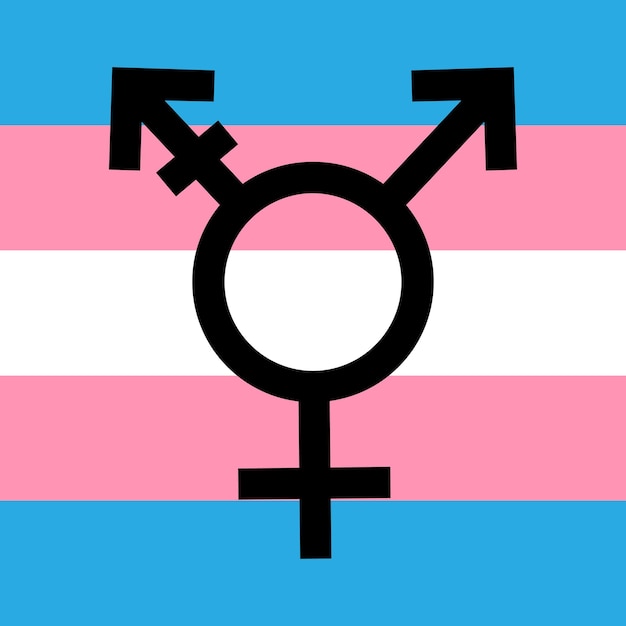 Simbolo della bandiera transessuale trans transgender vettoriale