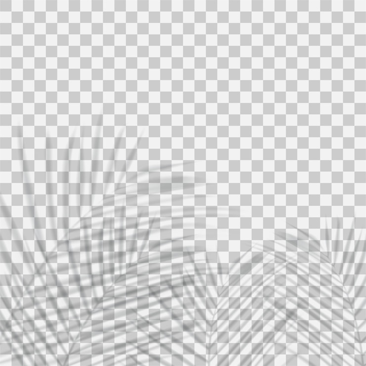 Vector vector transparent shadows overlay effect