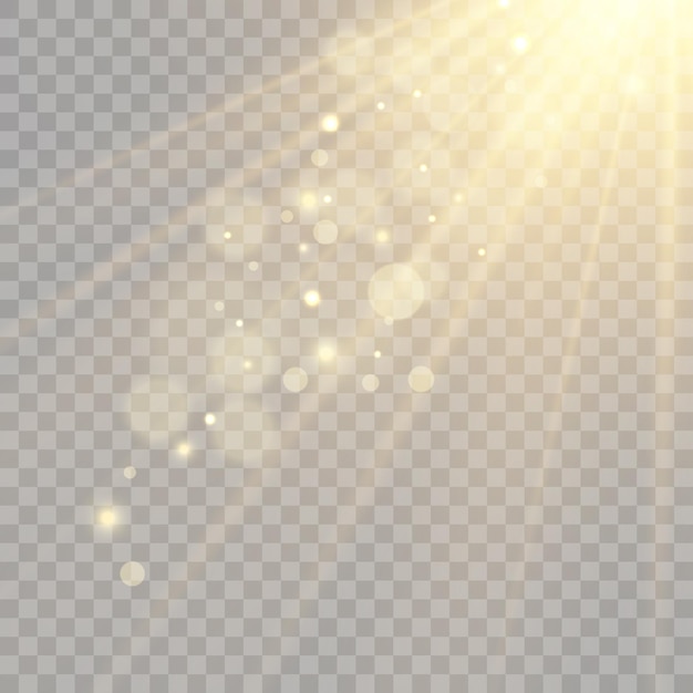 Vector transparent sunlight special lens flare light effect. Bright beautiful star.