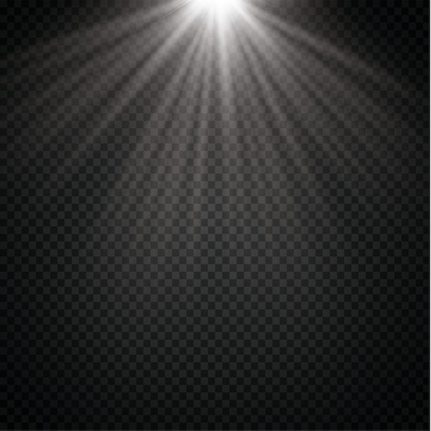 벡터 투명 햇빛 특수 렌즈 플레어 조명 효과. 광선과 스포트라이트가 있는 태양 플래시. 분기 EPS 10