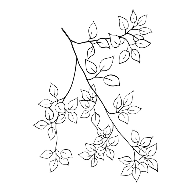 Vector tree branch line floral hand drawn sketch