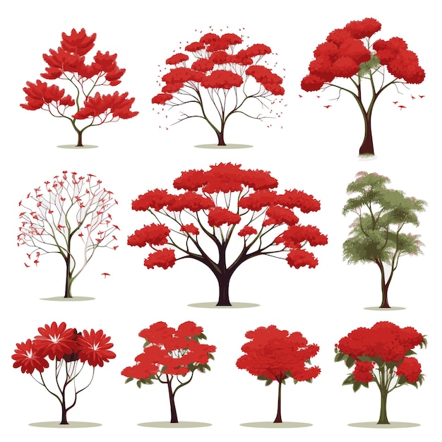 Vector vector tree collection