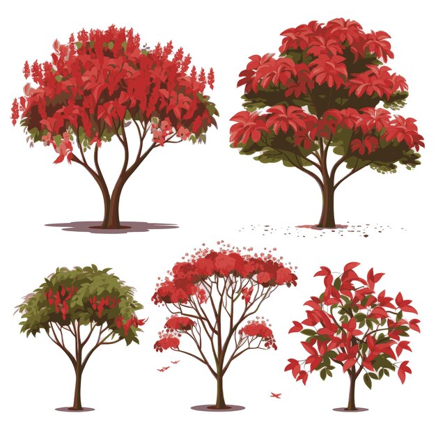 Vector vector tree collection