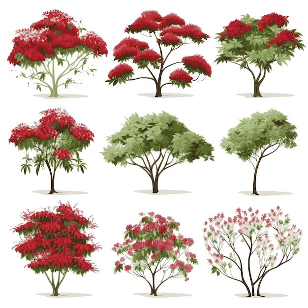 Vector tree collection