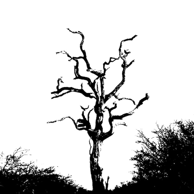 Vettore sagome di albero di vettore illustrazione in bianco e nero