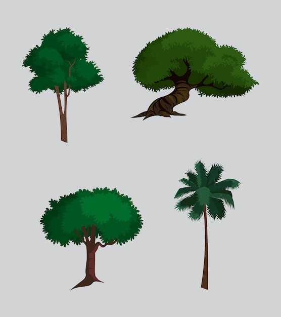 Insieme dell'illustrazione degli alberi di vettore