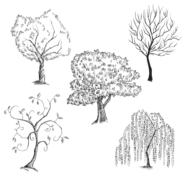 Collezione di disegni al tratto di alberi vettoriali