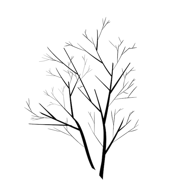 Vector trees silhouettes on white background