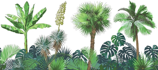 Vector Tropical bananas palm trees monstera yucca leaf fruits foliage collection Realistic vintage illustration
