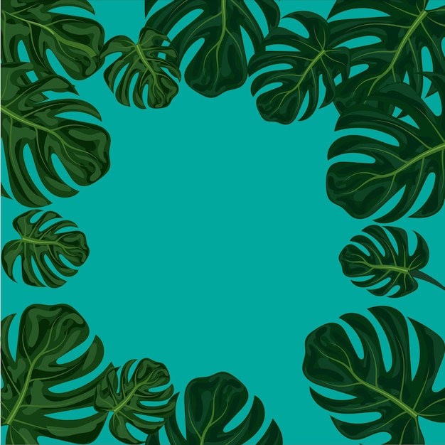 Vector tropical frame with green monstera leaves on background