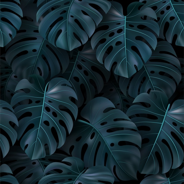 Vettore vector l'illustrazione tropicale con i monstera delle foglie verdi su fondo scuro