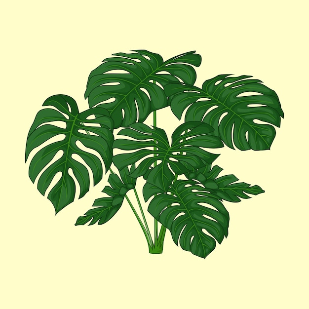 Vector vector tropical leaf background