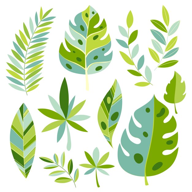 Vector vector tropical plants and leaves