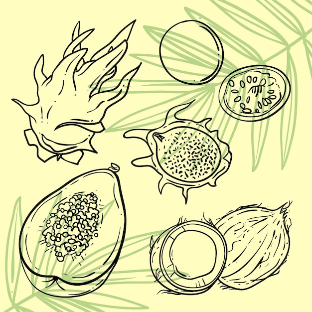 Vector tropisch fruit