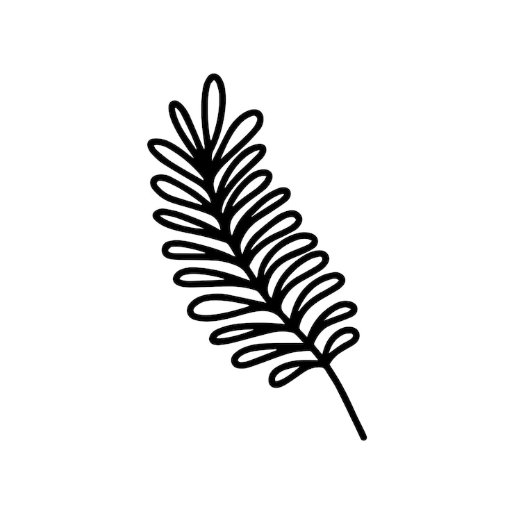 Vector vector tropische acacia blad geïsoleerd op witte achtergrond grappige kleur en schattige illustratie voor seizoensgebonden ontwerp textiel decoratie kinderen speelkamer of groetekaart handgetekende afdrukken en doodle