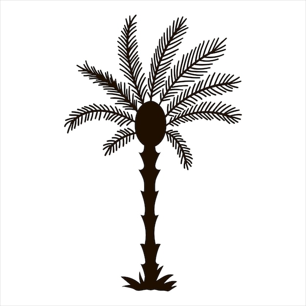 Vector tropische palmboom silhouet zwarte jungle gebladerte pictogram Hand getrokken exotische plant geïsoleerd op witte achtergrond zwarte zomer groen illustratiexA