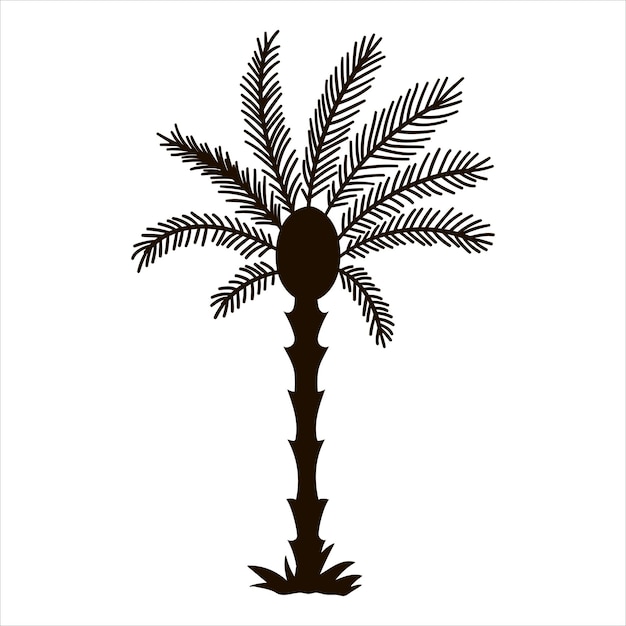 Vector tropische palmboom silhouet zwarte jungle gebladerte pictogram hand getrokken exotische plant geïsoleerd op witte achtergrond zwarte zomer groen illustratiexa