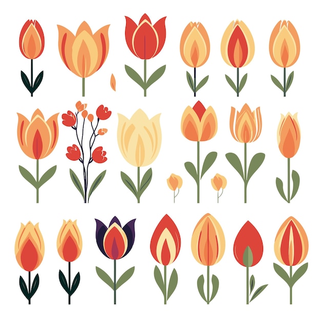 Vector vector tulip collection set