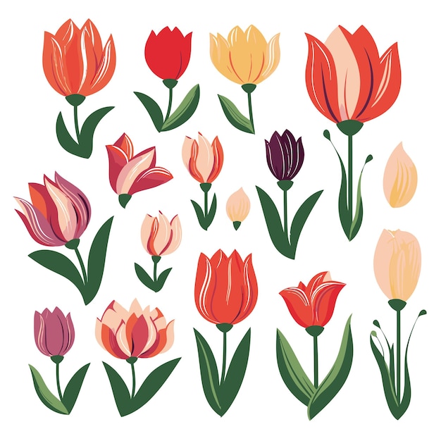 Vector vector tulip collection set