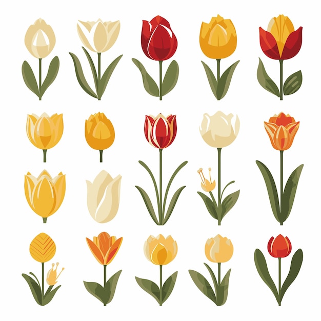 Vector vector tulpenbloem collectie set