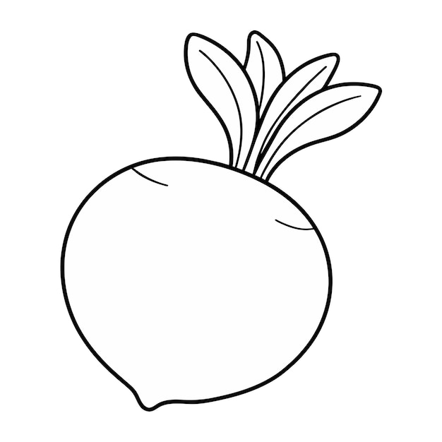 Vector vector of turnip illustration coloring page for kids