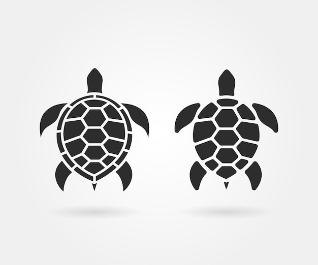 Vector of turtle design on a white background Turtle vector icon