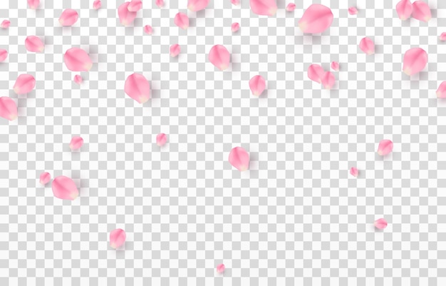 Vector vallende rozenblaadjes png. Vallende sakurabloemblaadjes, rozen png. Roze bloemblaadjes png. Bloemblaadjes png.
