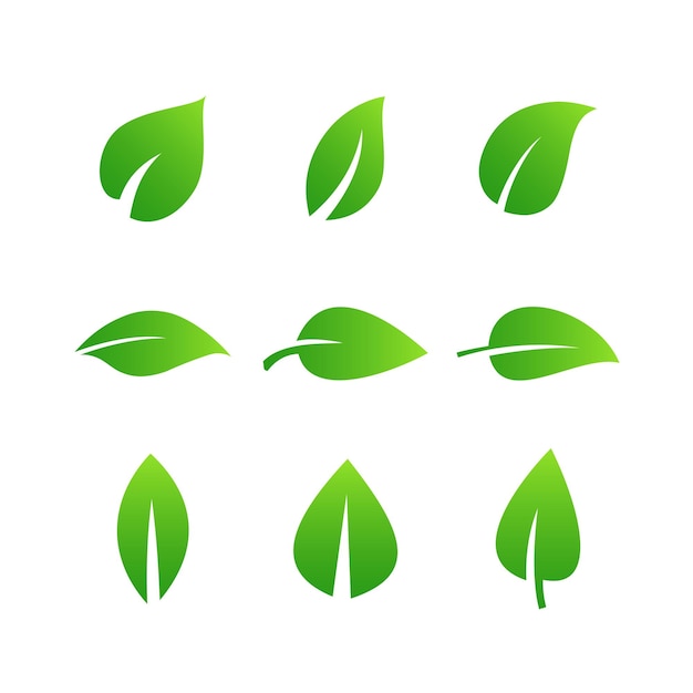 Vector van bladiconen en verschillende vormen van groene bladectoren of Groene bladiconen