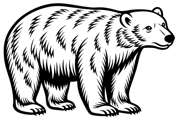 vector van de ijsbeer